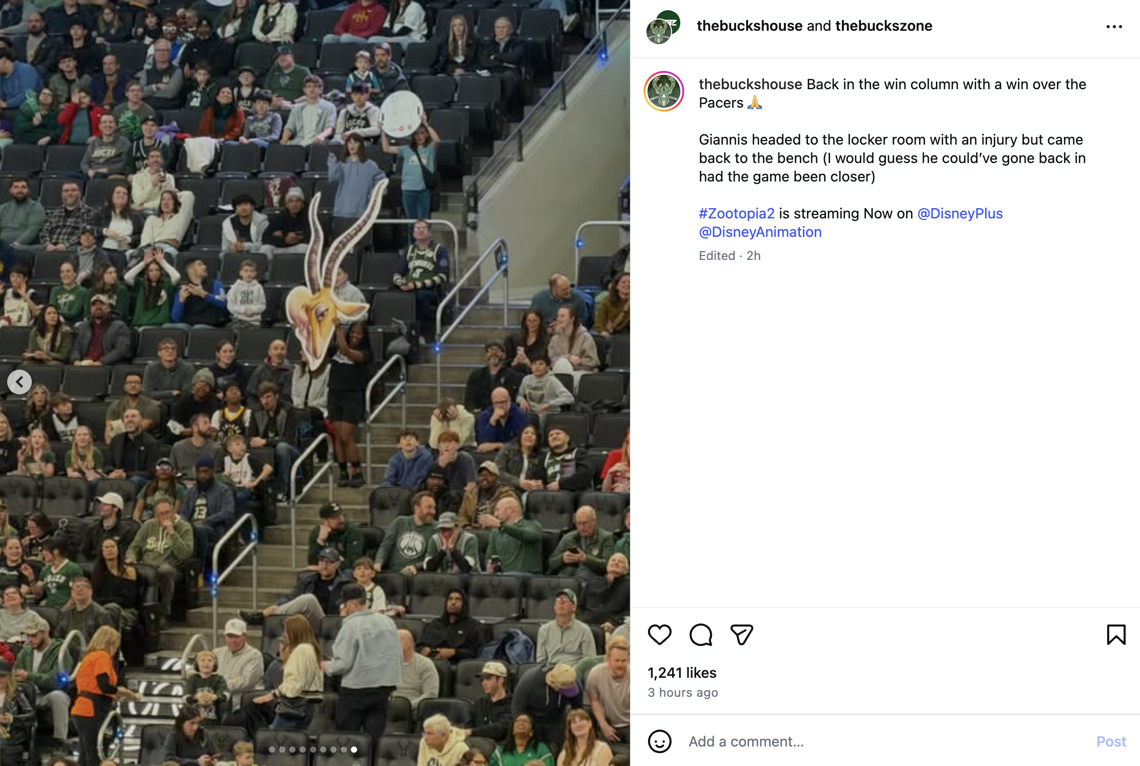The Bucks House - Instagram Post 4
